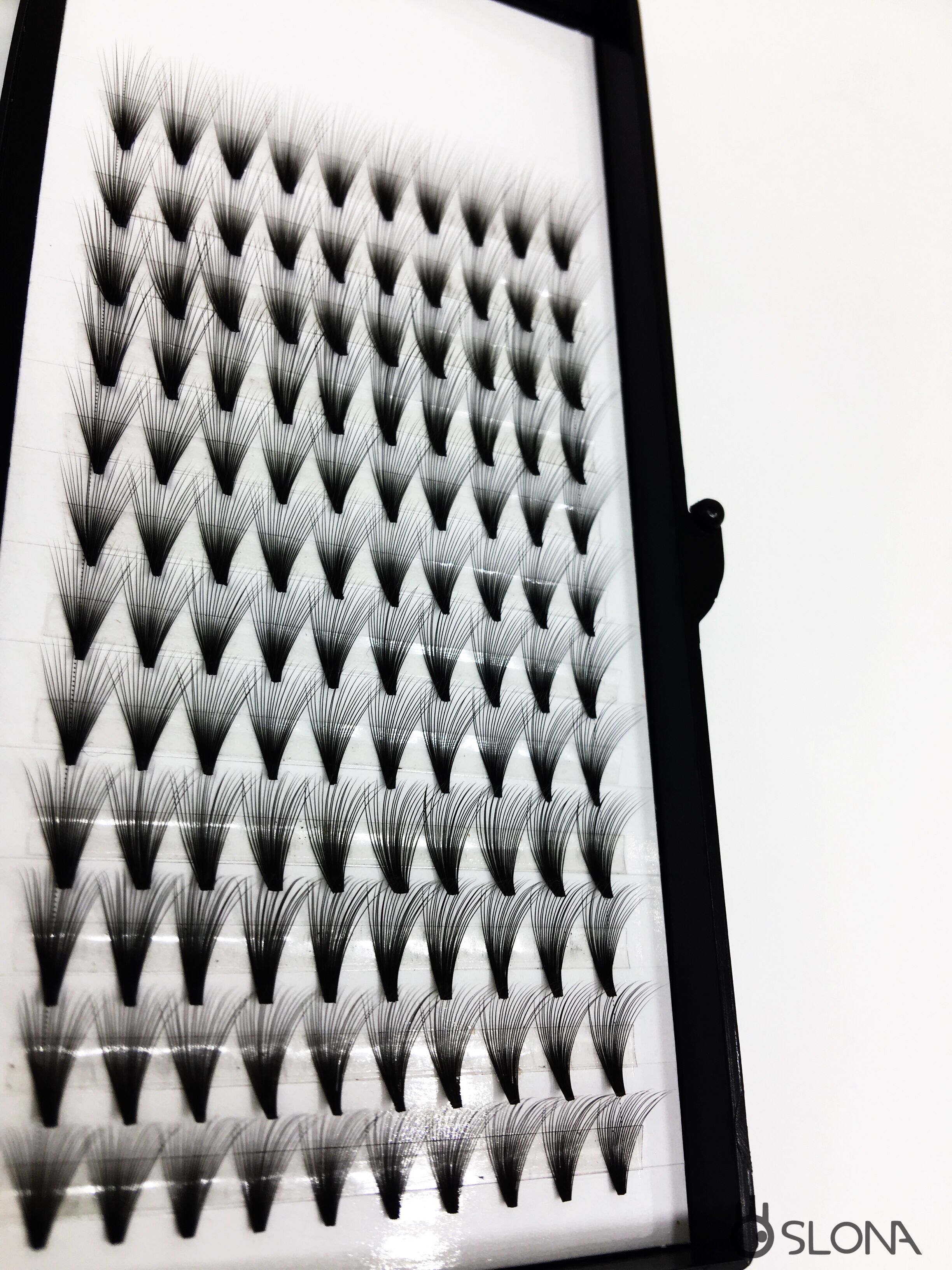 PreMadeFans-SLONA Lashes