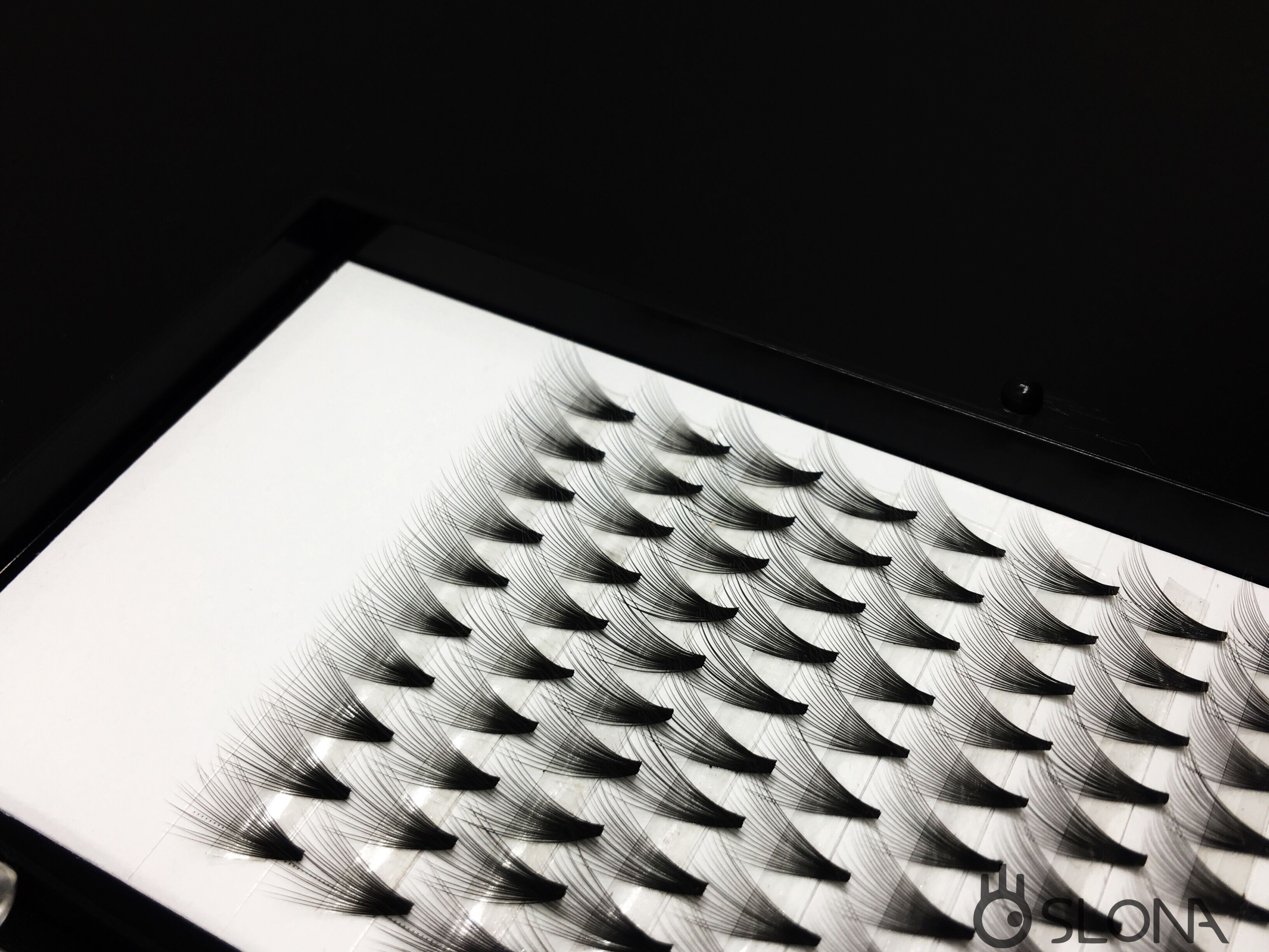 PreMadeFans-SLONA Lashes
